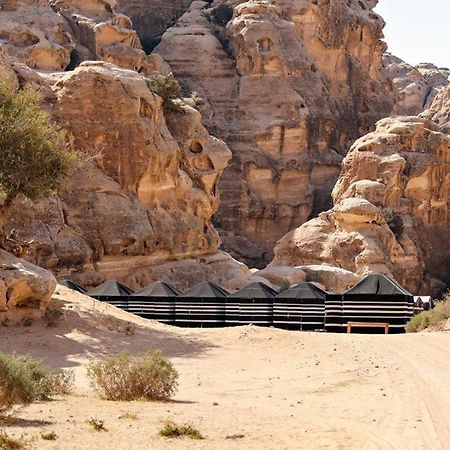 Ammarin Bedouin Camp Hotell Wadi Musa Eksteriør bilde