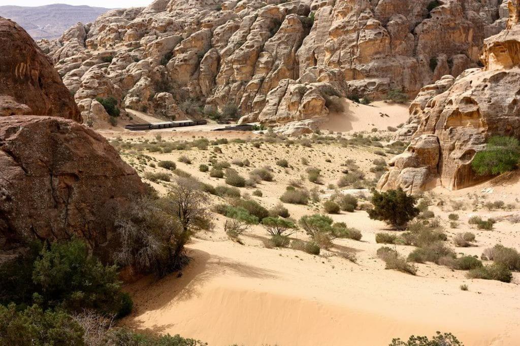 Ammarin Bedouin Camp Hotell Wadi Musa Eksteriør bilde