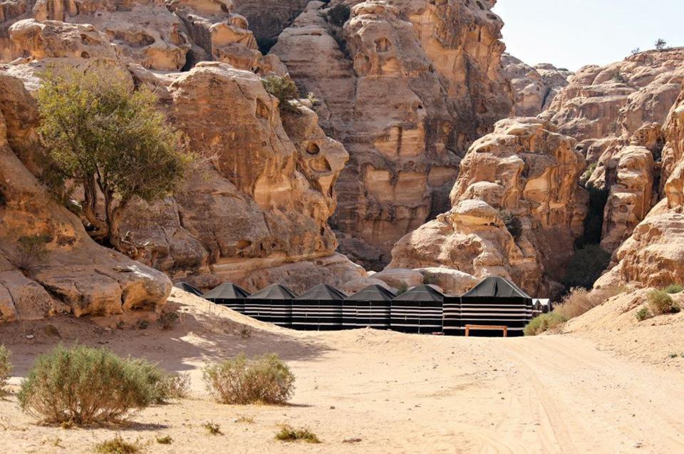Ammarin Bedouin Camp Hotell Wadi Musa Eksteriør bilde
