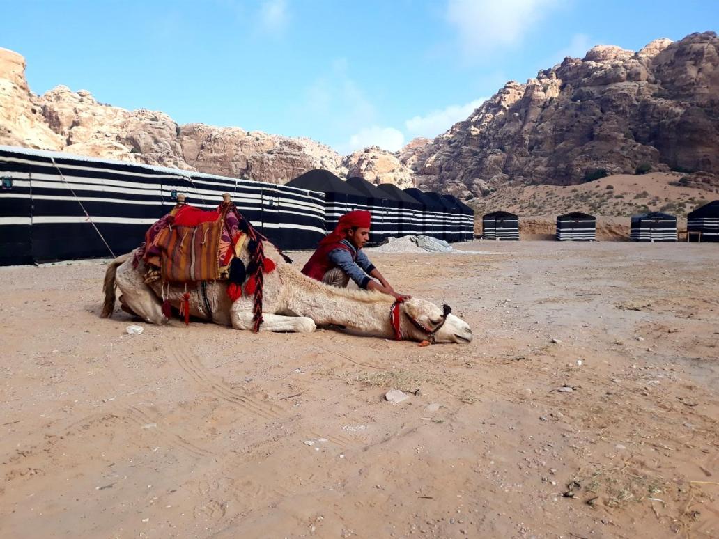 Ammarin Bedouin Camp Hotell Wadi Musa Eksteriør bilde