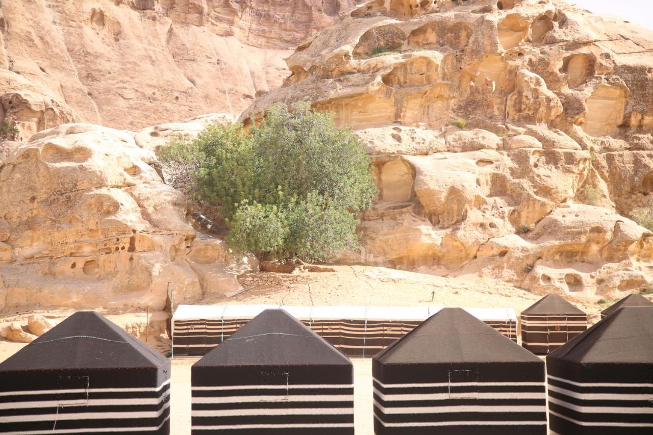 Ammarin Bedouin Camp Hotell Wadi Musa Eksteriør bilde